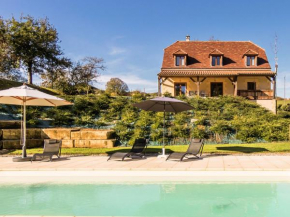 Luxury villa with pool on the edge of Montignac